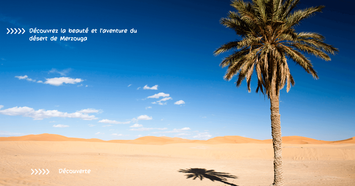 Découvrez la beauté et l'aventure du désert de Merzouga