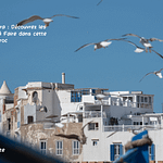 Activités à Essaouira Découvrez les Meilleures Choses à Faire dans cette Ville Côtière du Maroc (1)