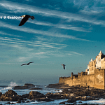 Les sites touristiques à Essaouira