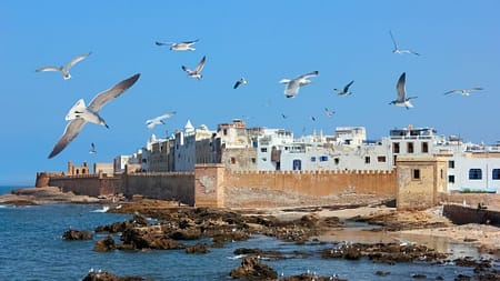 Vue de la médina dans L'excursion Essaouira au Maroc