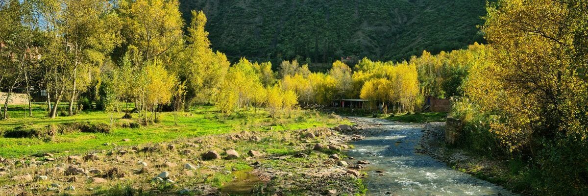Ourika Valley: Dive into Moroccan Nature.