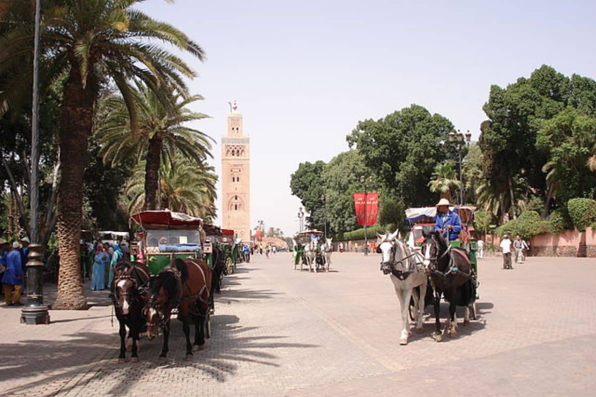 Half-Day Marrakech Tour