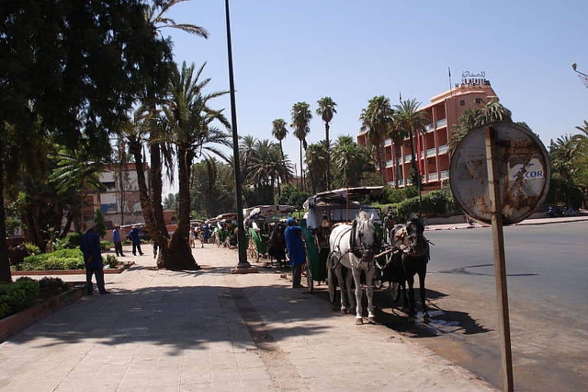 Promenade Calèche Marrakech : Une Expérience Authentique à Découvrir